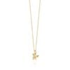 necklace-3-1@1x-pichi