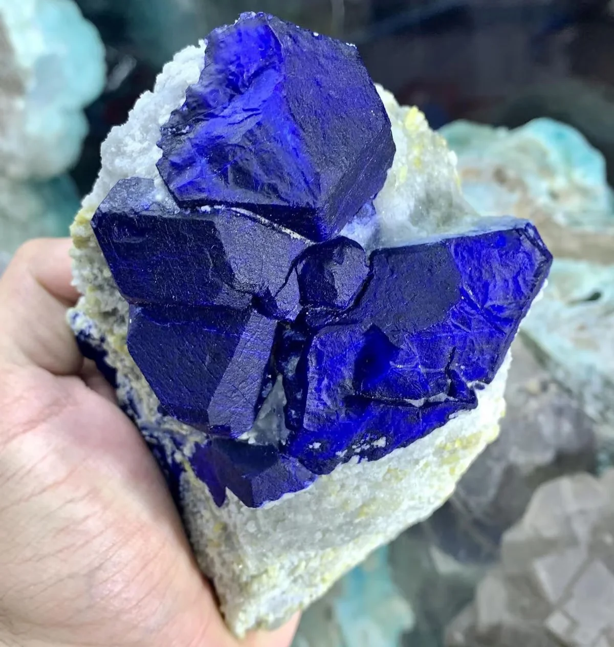 Deep blue lazurite-rich mineral specimen on a pale matrix